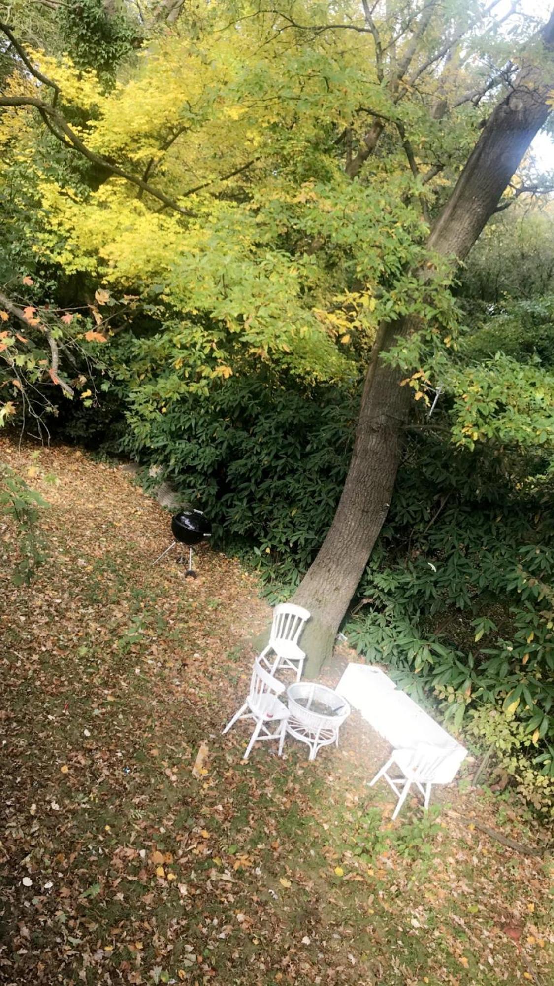 Apartment House Forest Vienne Extérieur photo